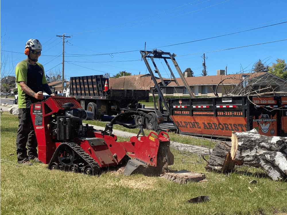 Alpine Arborists crew providing tree care in Alpine, Utah