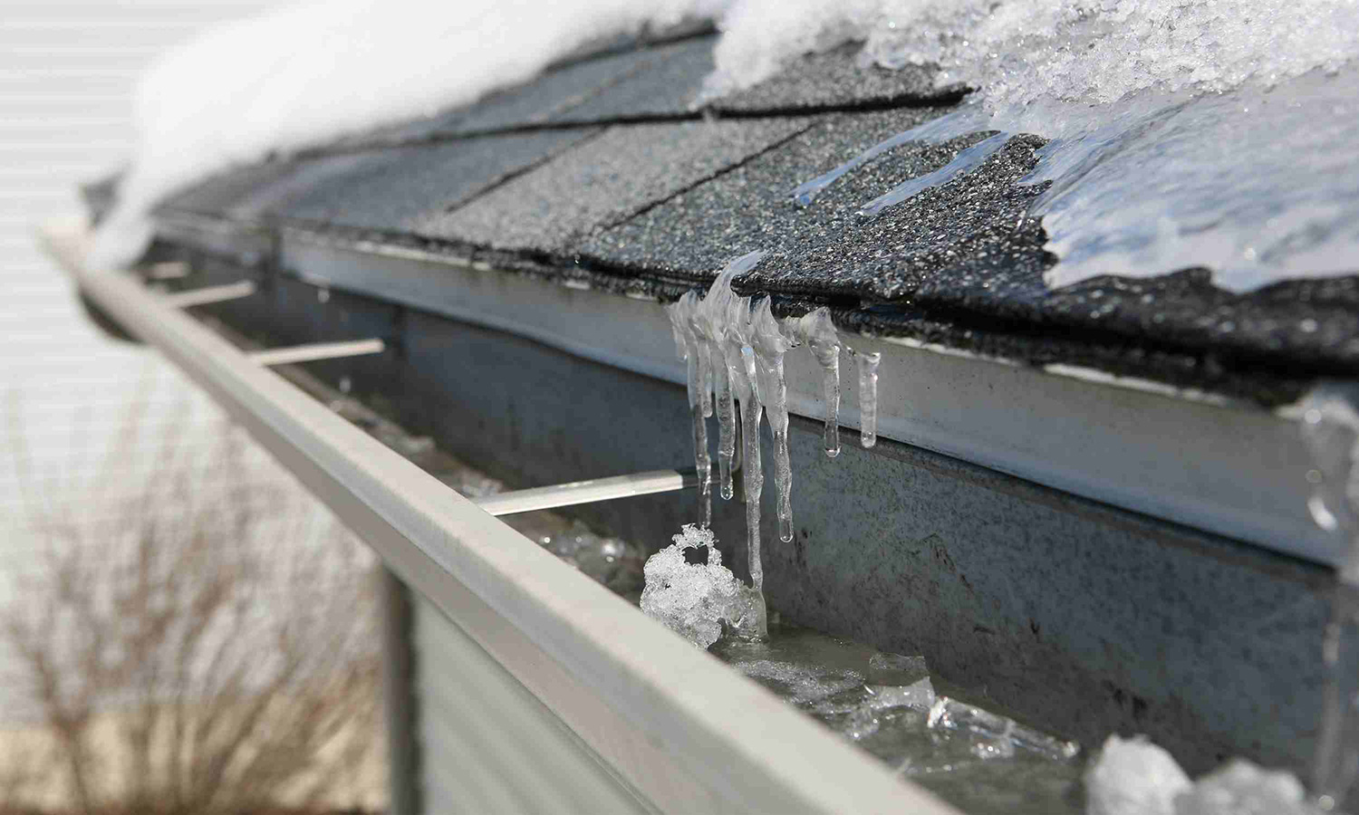 Alpine Arborists crew providing winter ice dam service in Utah
