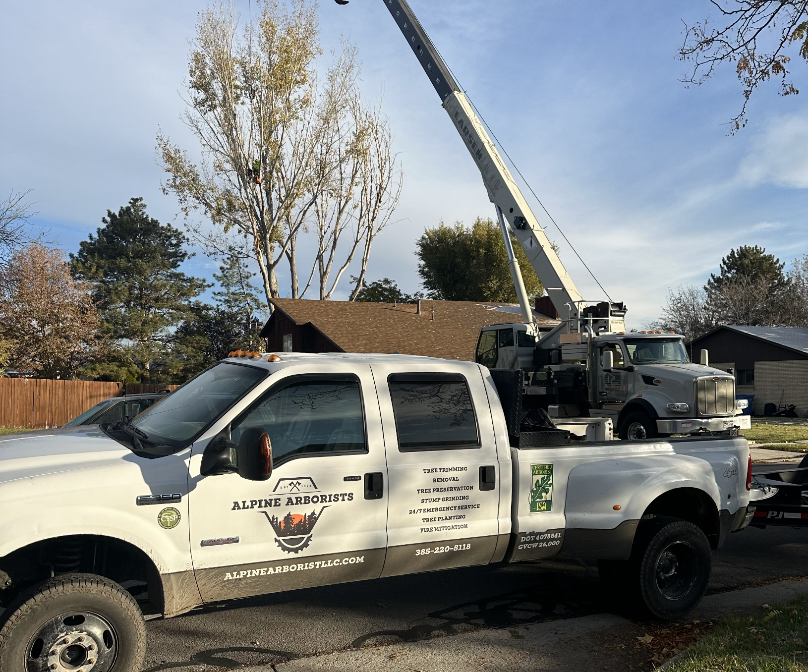 Utility line clearance tree trimming in Utah